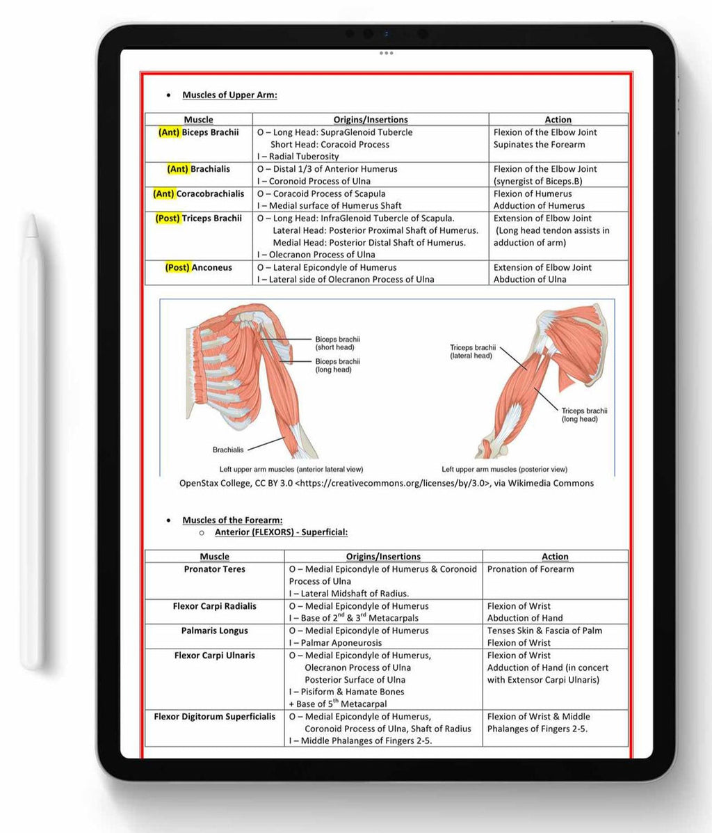 21-Subject Medical Notes Mega Bundle (Physical Edition)