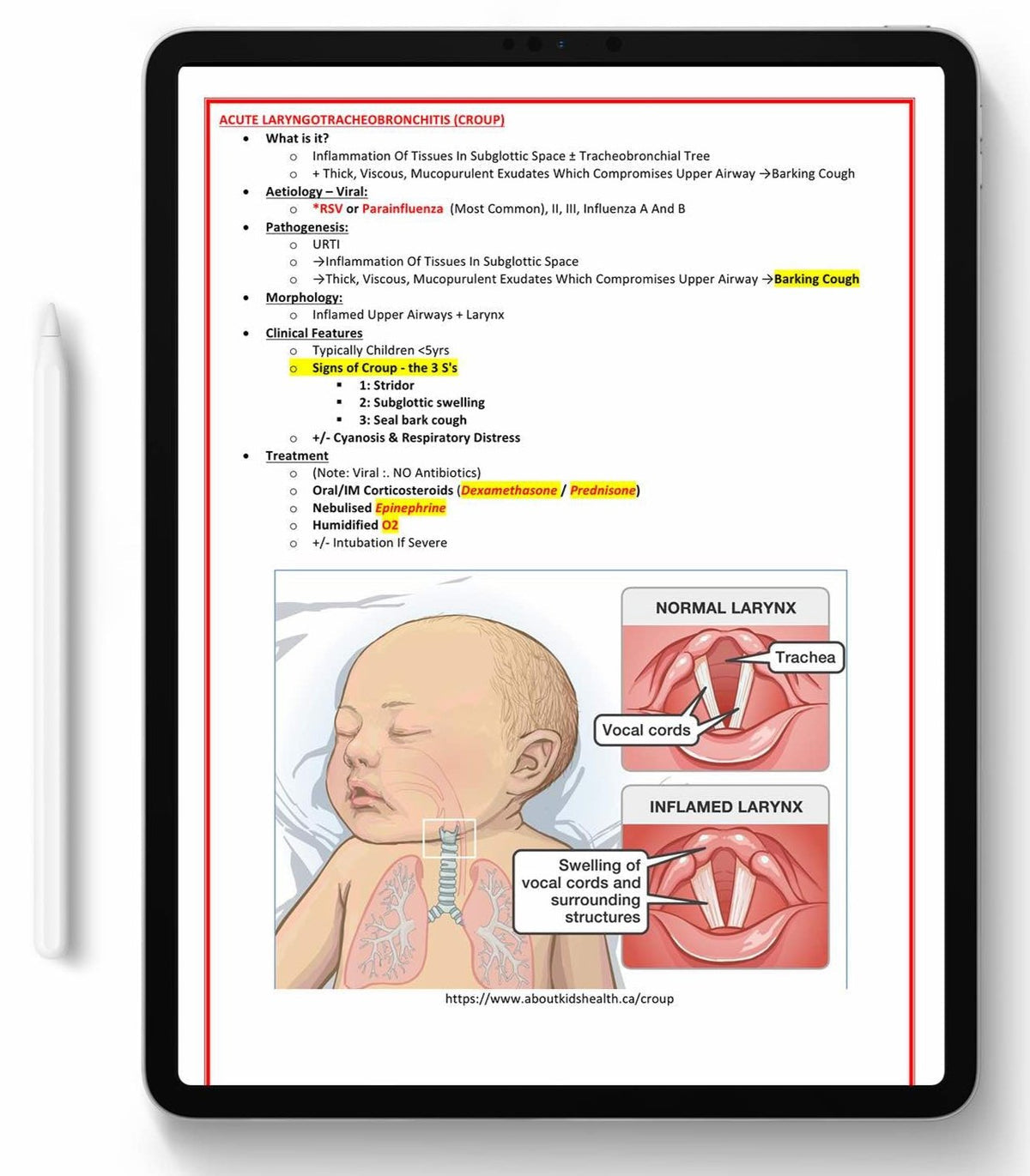 High-Yield Medical Study Notes