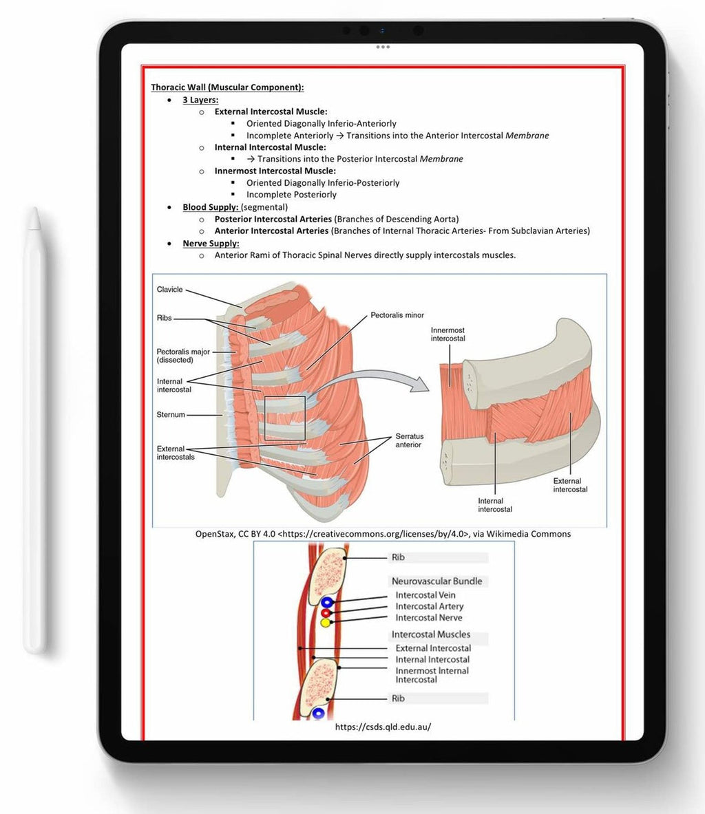 High-Yield Medical Study Notes