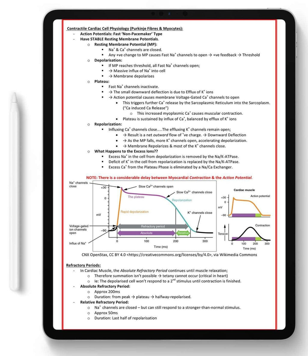 High-Yield Medical Study Notes