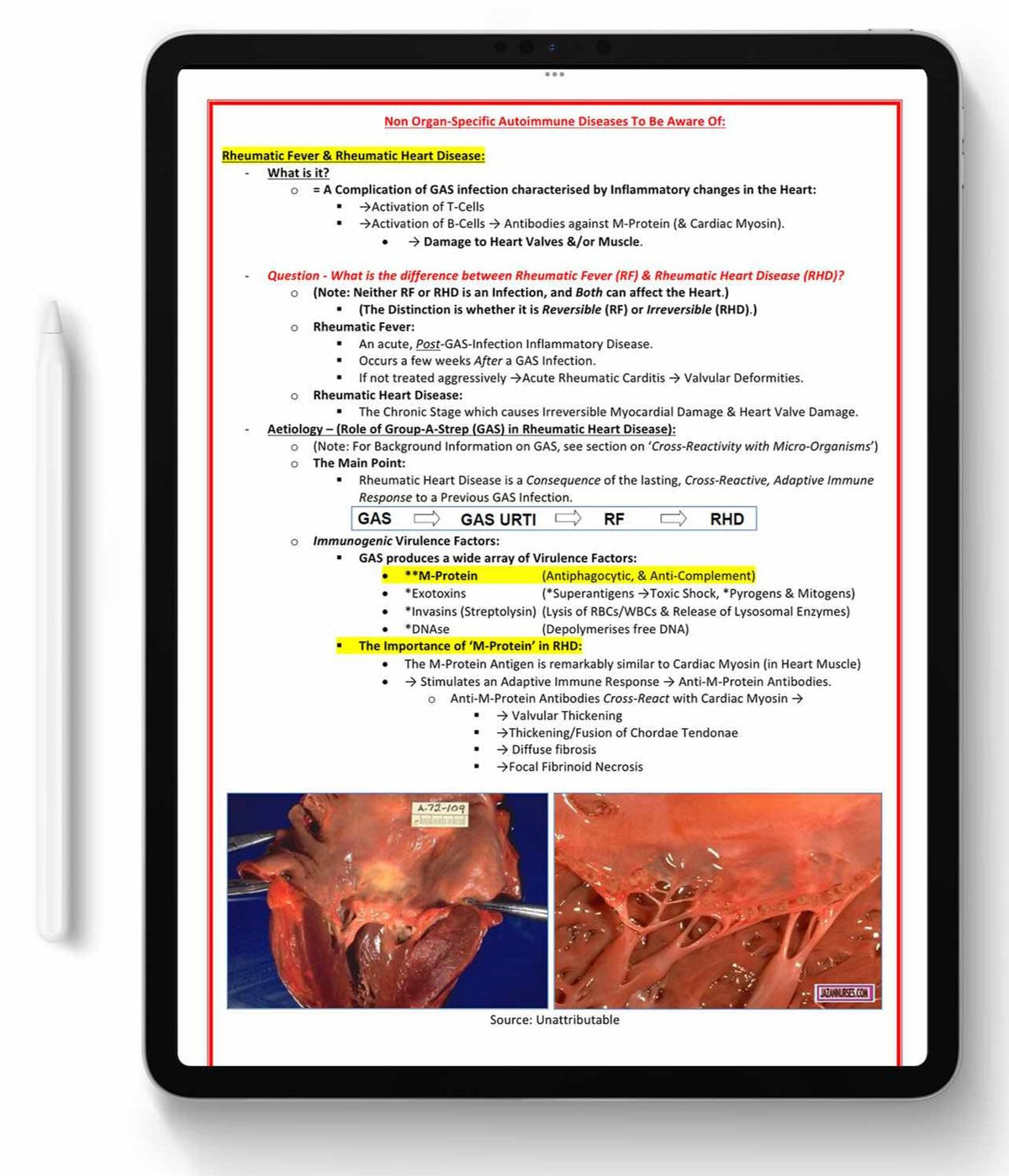 High-Yield Medical Study Notes