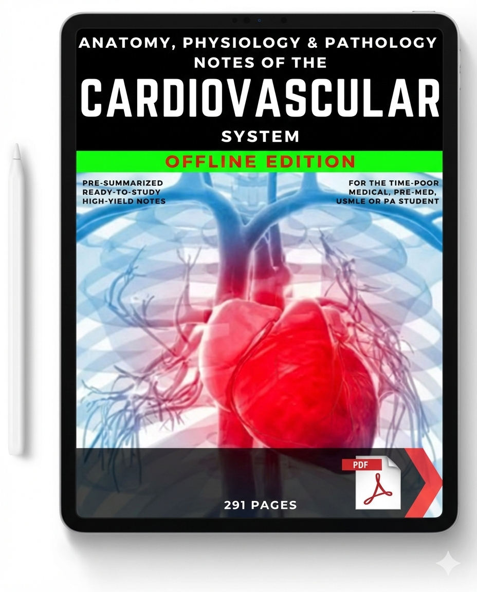 Cardiovascular System Notes
