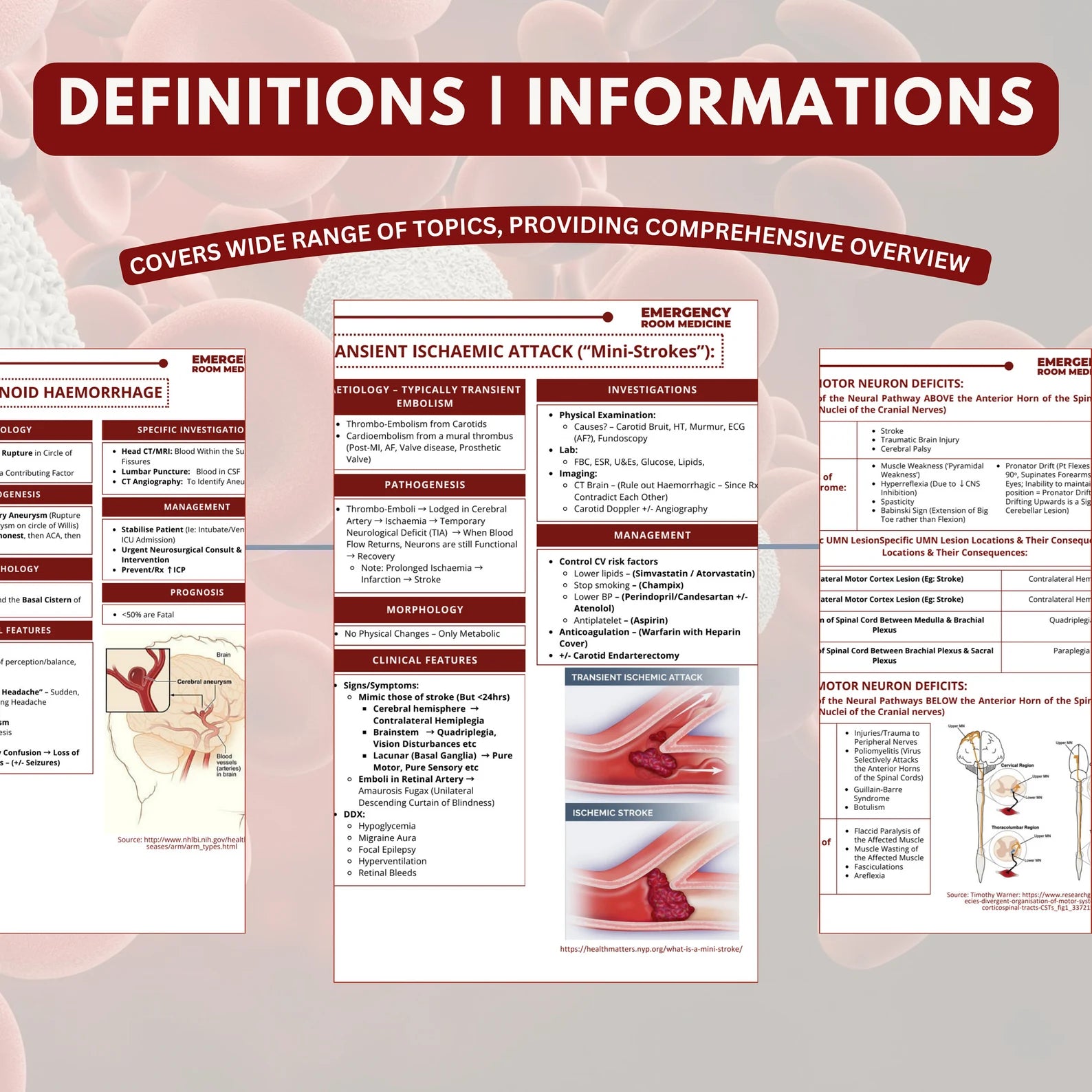 Emergency Room Medicine Bundle – Digital Download Designed by CoreMedNotes
