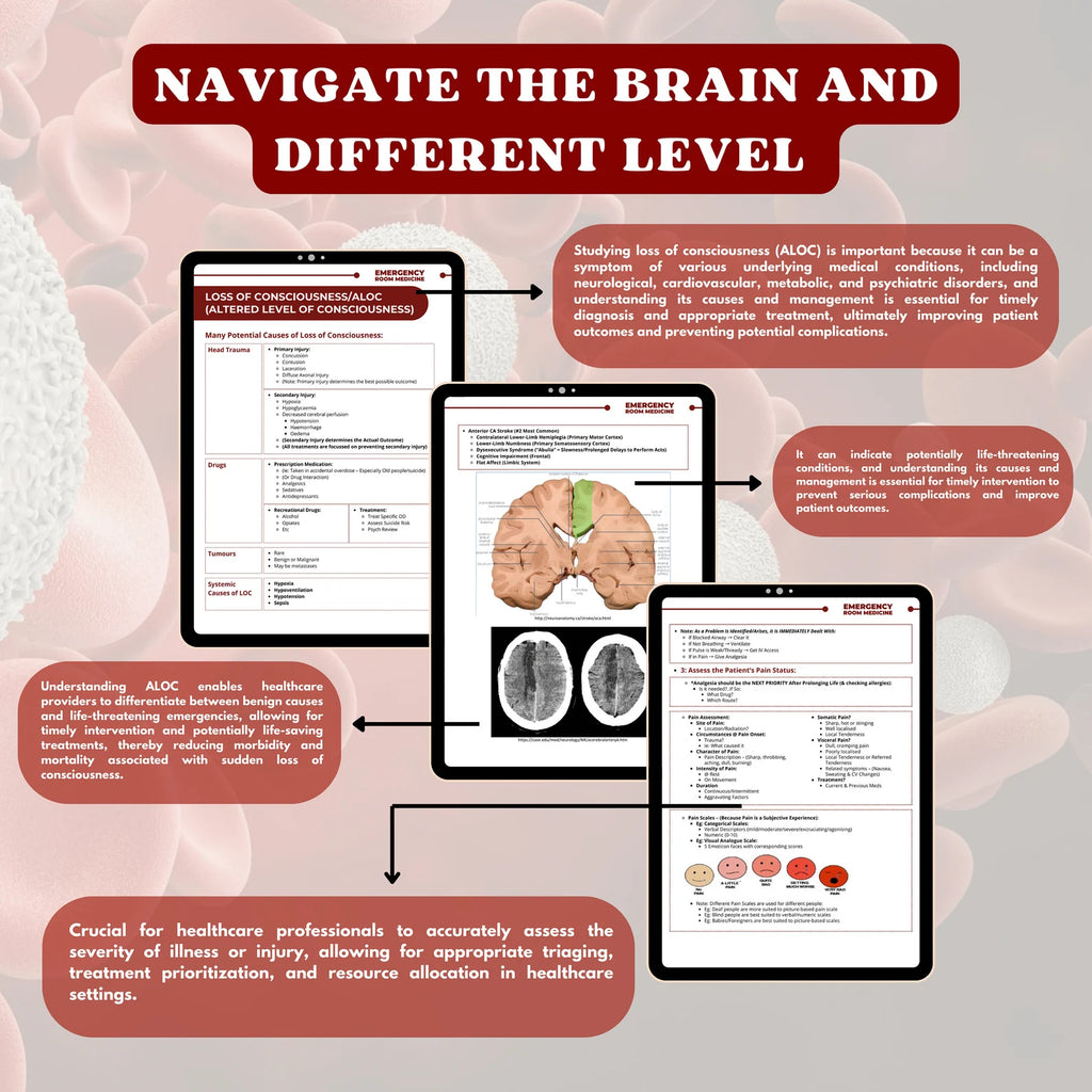Emergency Room Medicine Bundle – Digital Download Designed by CoreMedNotes
