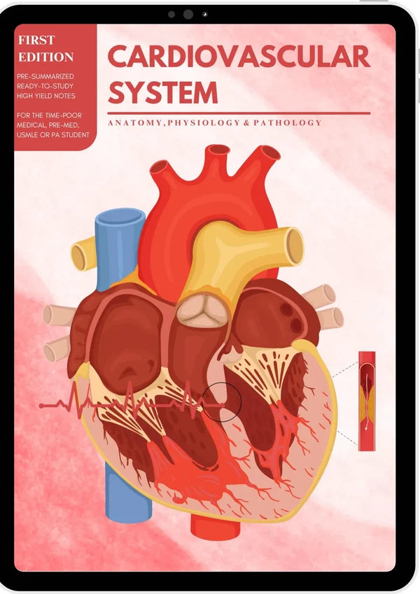Cardiovascular Notes β The Med School